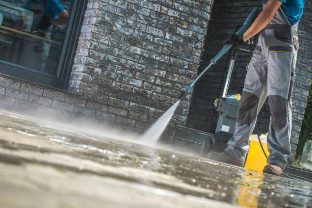 Animal Enclosure Cleaning in West Whittier Los Nietos, CA